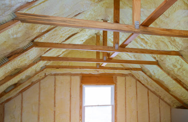 Best Energy Efficiency Insulation in St Paul Park, MN