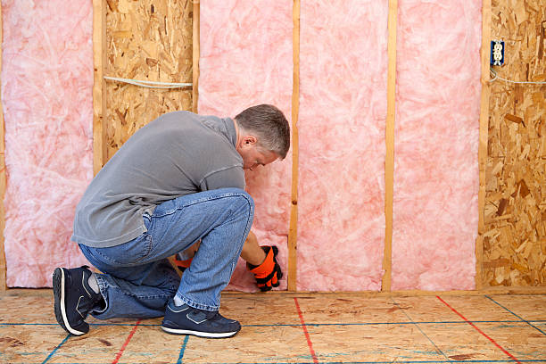 Types of Insulation We Offer in St Paul Park, MN