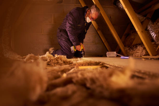 Best Commercial Insulation in St Paul Park, MN
